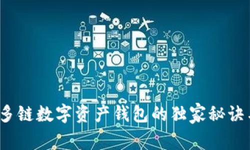 专家揭秘：多链数字资产钱包的独家秘诀与使用指南