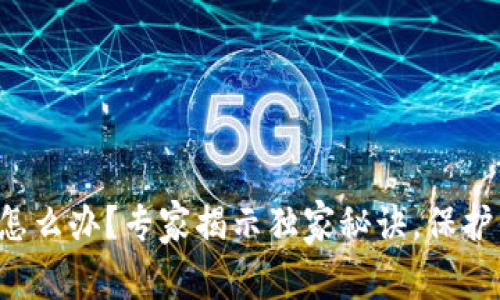 TP钱包被盗了怎么办？专家揭示独家秘诀，保护你的数字资产！