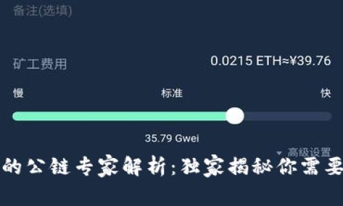 TP钱包收录的公链专家解析：独家揭秘你需要知道的秘诀