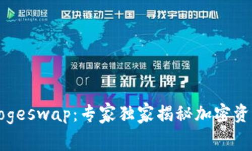 TP钱包与Dogeswap：专家独家揭秘加密资产交易秘诀