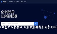 TP钱包矿工费揭秘：专家独家解析最低费用秘诀