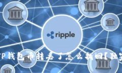 专家揭秘：TP钱包币转丢了怎么找回？独家秘诀分