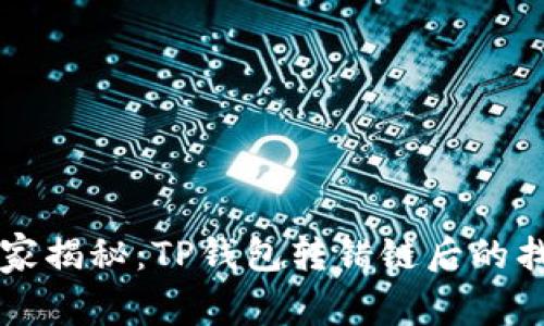 专家独家揭秘：TP钱包转错链后的找回秘诀