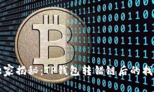 专家独家揭秘：TP钱包转错链后的找回秘诀