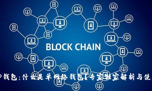 解密TP钱包：什么是单网络钱包？专家独家解析与使用秘诀