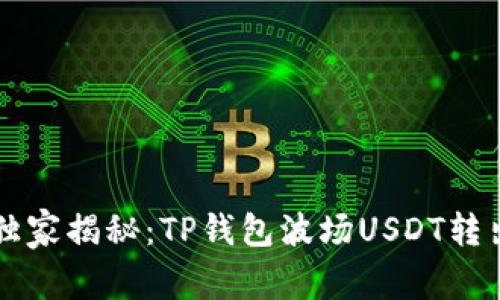 专家独家揭秘：TP钱包波场USDT转出秘籍