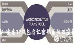 专家揭秘：安卓TP钱包忘记密码后的独家解决秘诀