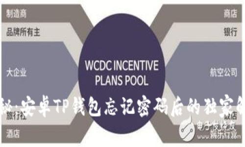 专家揭秘：安卓TP钱包忘记密码后的独家解决秘诀