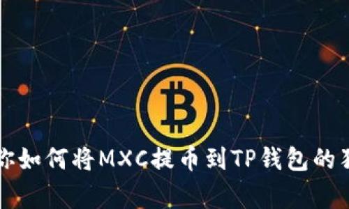 专家教你如何将MXC提币到TP钱包的独家秘诀
