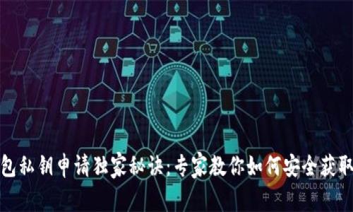 TP钱包私钥申请独家秘诀：专家教你如何安全获取私钥