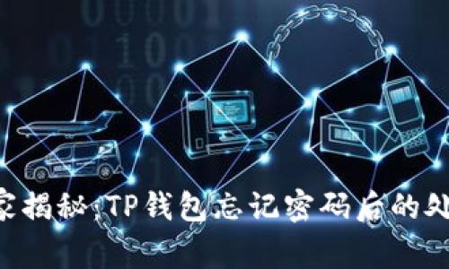 专家独家揭秘：TP钱包忘记密码后的处理秘诀！
