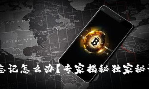 TP钱包密码忘记怎么办？专家揭秘独家秘诀，轻松找回！