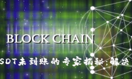 TP钱包跨链转USDT未到账的专家揭秘：解决方案与独家秘诀