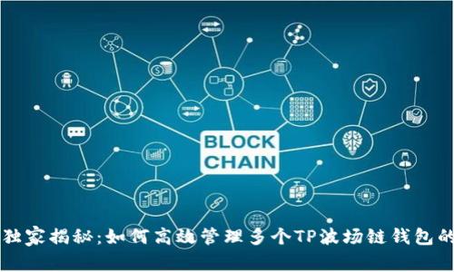 专家独家揭秘：如何高效管理多个TP波场链钱包的秘诀