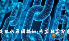 TP钱包交易失败的原因揭秘：专家独家分享的详细