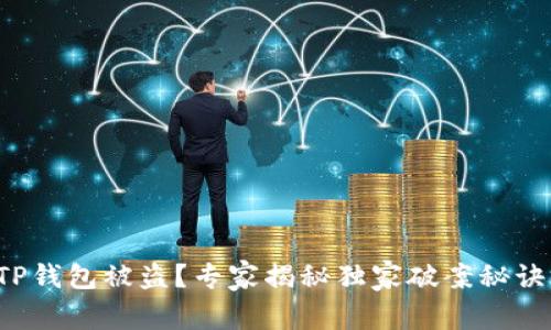 TP钱包被盗？专家揭秘独家破案秘诀！