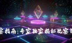 TP钱包观察指南：专家独家揭秘观察钱包的秘诀