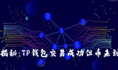 专家独家揭秘：TP钱包交易成功但币未到账的秘诀
