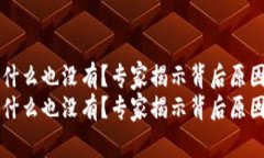点击TP钱包发现什么也没有？专家揭示背后原因及