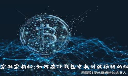 专家独家揭秘：如何在TP钱包中找到波场链的秘诀