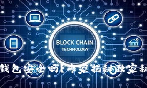 TP钱包安全吗？专家揭秘独家秘诀