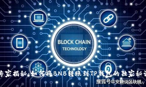 专家揭秘：如何将BNB转账到TP钱包的独家秘诀