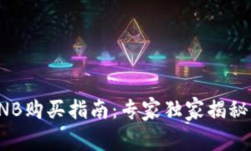 TP钱包BNB购买指南：专家独家揭秘便捷秘诀