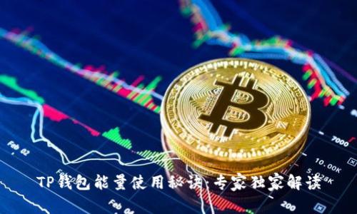 TP钱包能量使用秘诀：专家独家解读