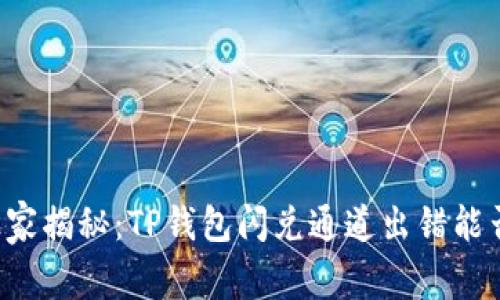 专家独家揭秘：TP钱包闪兑通道出错能否找回？