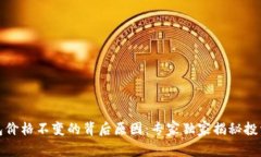 TP钱包价格不变的背后原因：专家独家揭秘投资秘