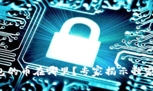 TP钱包的币在哪里？专家揭示独家秘诀！