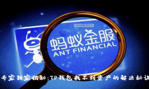 专家独家揭秘：TP钱包找不到资产的解决秘诀