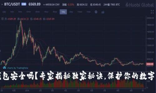 TP钱包安全吗？专家揭秘独家秘诀，保护你的数字资产