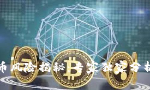 TP钱包中的币风险揭秘：专家独家分析与投资秘诀