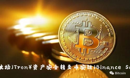 专家揭秘：TP钱包如何将波场（Tron）资产安全转至币安链（Binance Smart Chain）的独家秘诀