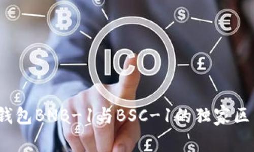 专家揭秘：TP钱包BNB-1与BSC-1的独家区别与使用秘诀