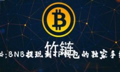 专家揭秘：BNB提现到TP钱包的独家手续费秘诀