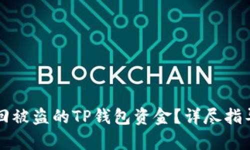 如何有效追回被盗的TP钱包资金？详尽指导与案例分析