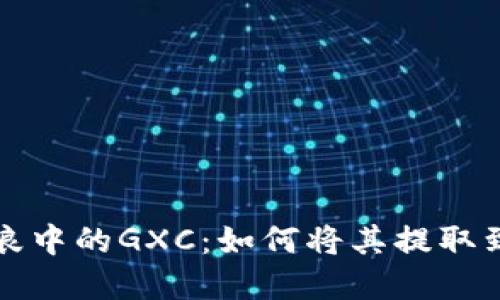 解读币浪中的GXC：如何将其提取到TP钱包