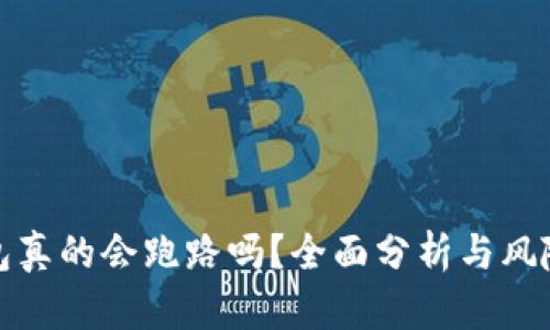 TP钱包真的会跑路吗？全面分析与风险评估