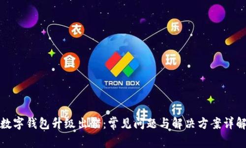 数字钱包升级出错：常见问题与解决方案详解