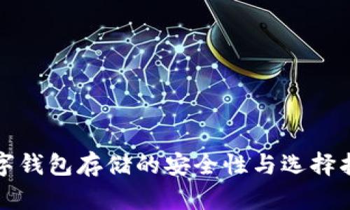 数字钱包存储的安全性与选择指南