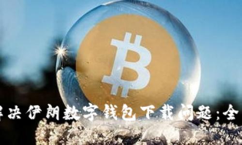 如何解决伊朗数字钱包下载问题：全面指南