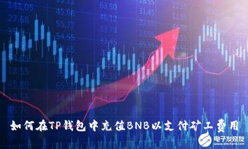 如何在TP钱包中充值BNB以支付矿工费用