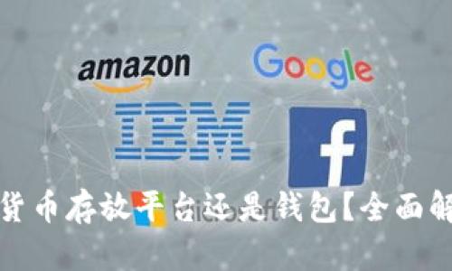 选择数字货币存放平台还是钱包？全面解读与分析