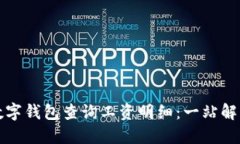 如何通过数字钱包查询工资明细：一站解决你的