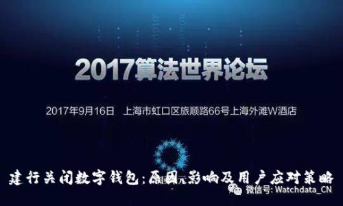 建行关闭数字钱包：原因、影响及用户应对策略
