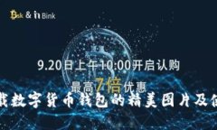 如何下载数字货币钱包的精美图片及使用指南