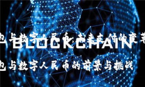 数字钱包与数字人民币：未来支付的变革与挑战

数字钱包与数字人民币的前景与挑战