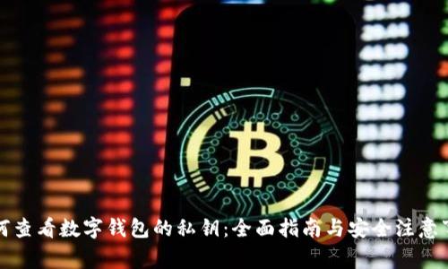 如何查看数字钱包的私钥：全面指南与安全注意事项
